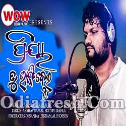 Priya Tu Bhangidelu - Odia Sad Romantic Song By Humane Sagar